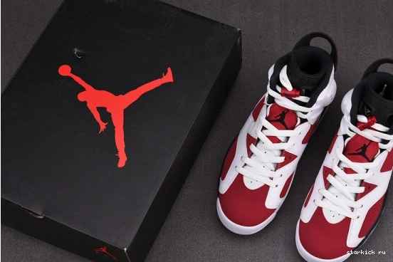 Carmine Retro 6 CT8529-106 (2021) Jordan CT8529-106 Air 0412